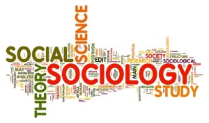Sociology degree
